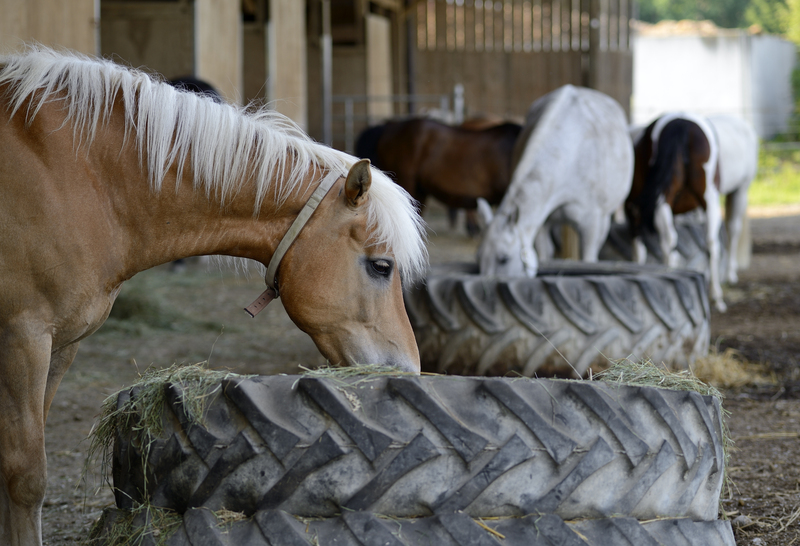 waste disposal office waste