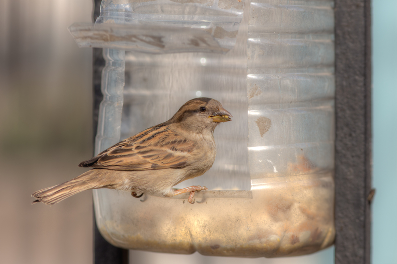 Gain Insights on Reducing Personal Plastic Waste