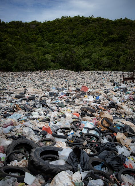 Lewisham council permits for bulky rubbish and fines