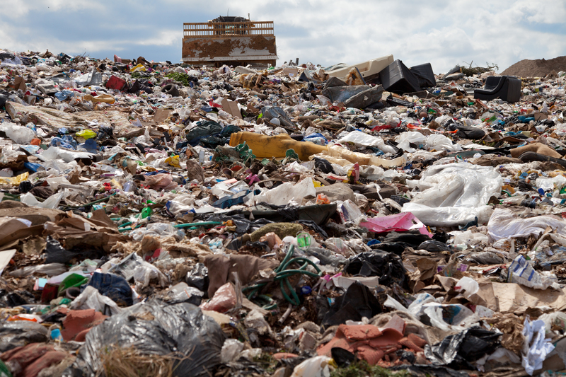 The Various Types of Waste Harnessed for Renewable Energy